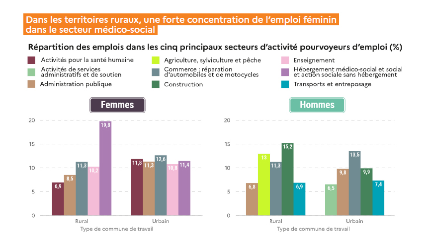 En ruralité : forte concentration de l'emploi des femmes dans le secteur médico-social