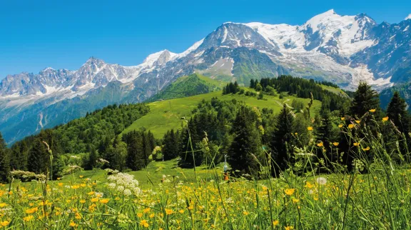 Paysage d'une prairie avec montagnes enneigées en arrière-plan