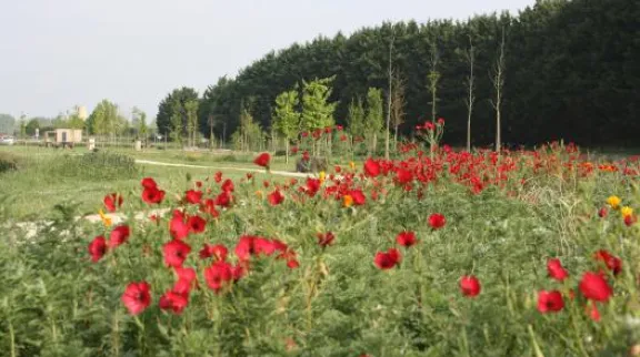 Un jardin créé entièrement grâce à la participation citoyenne