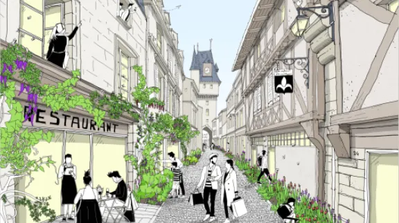 Illustration végétation