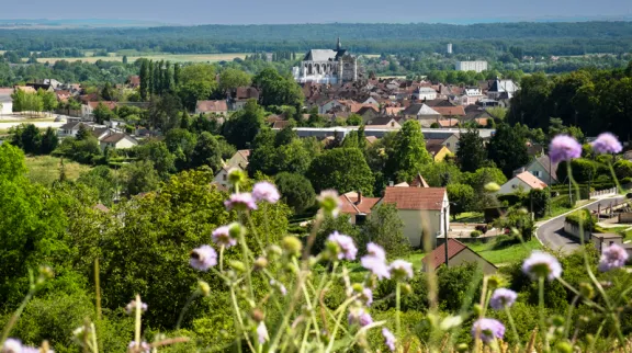 Saint Florentin - Yonne - Bourgogne-Franche-Comté